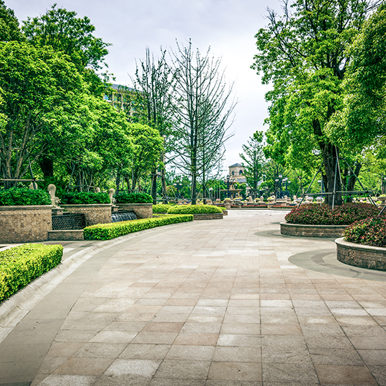 Tree Lined Pathways